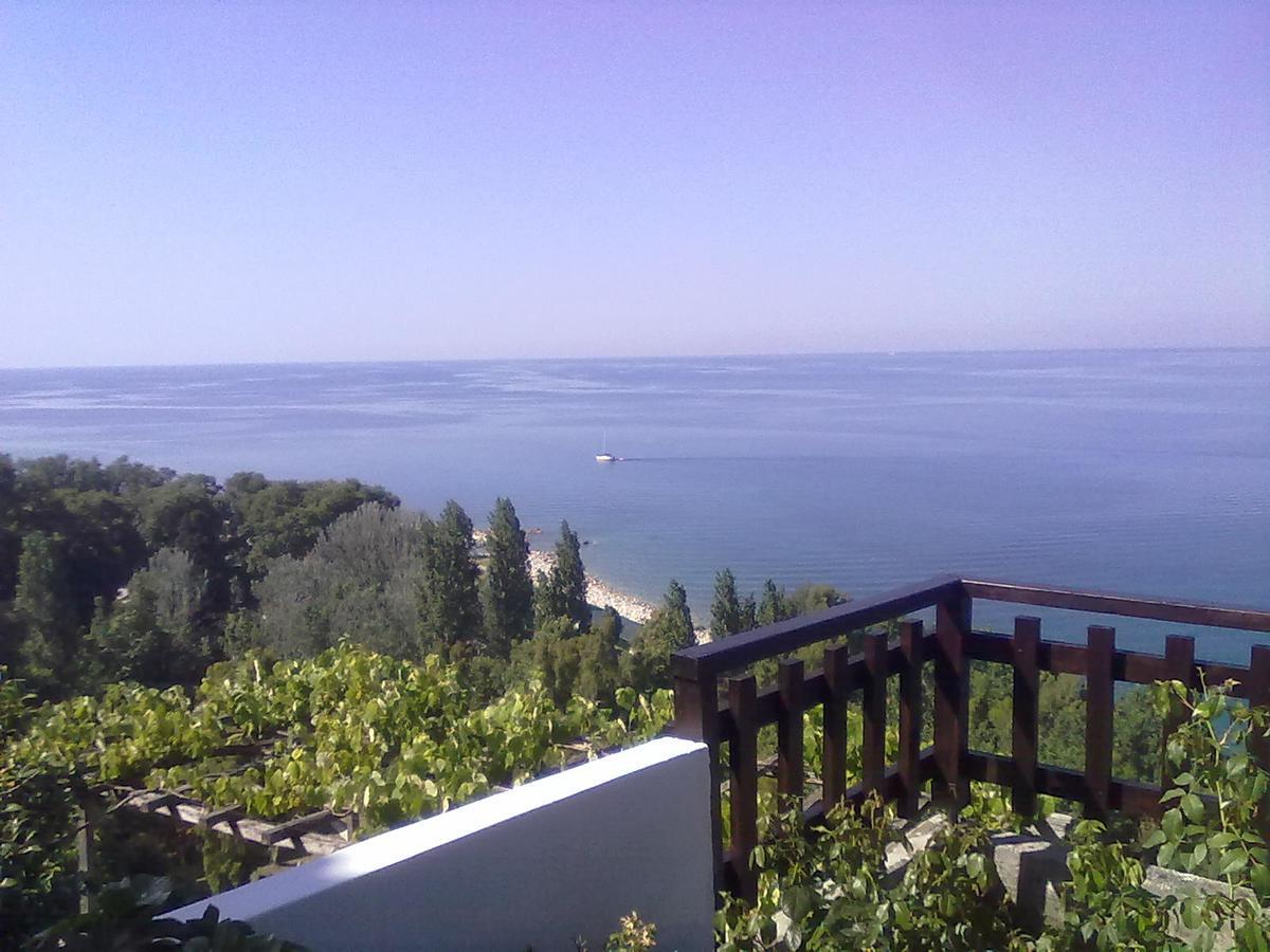 Pelion Orama Apartment Agios Ioannis  Bagian luar foto