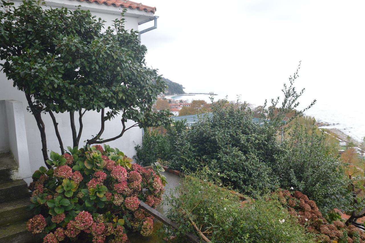 Pelion Orama Apartment Agios Ioannis  Bagian luar foto