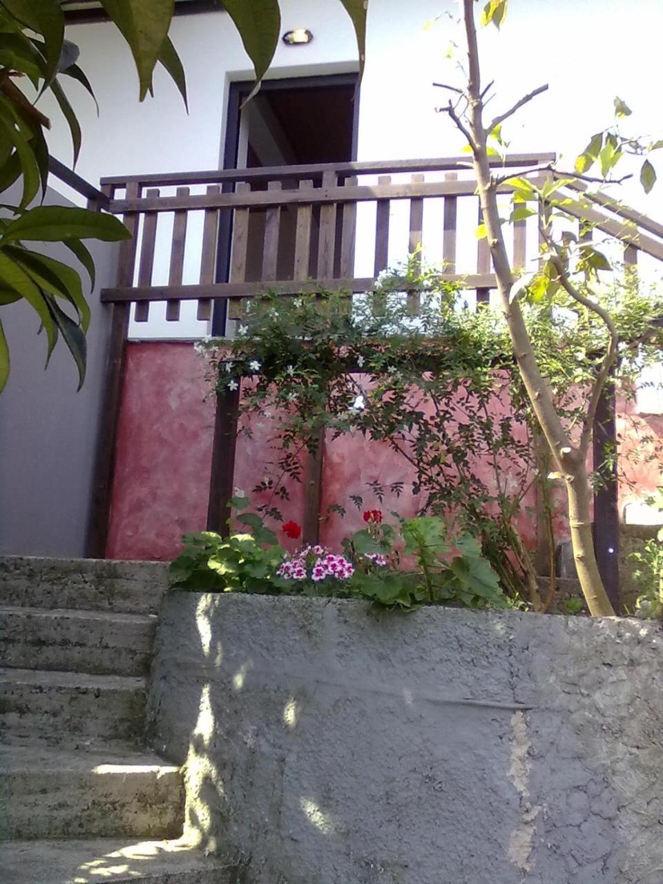 Pelion Orama Apartment Agios Ioannis  Bagian luar foto